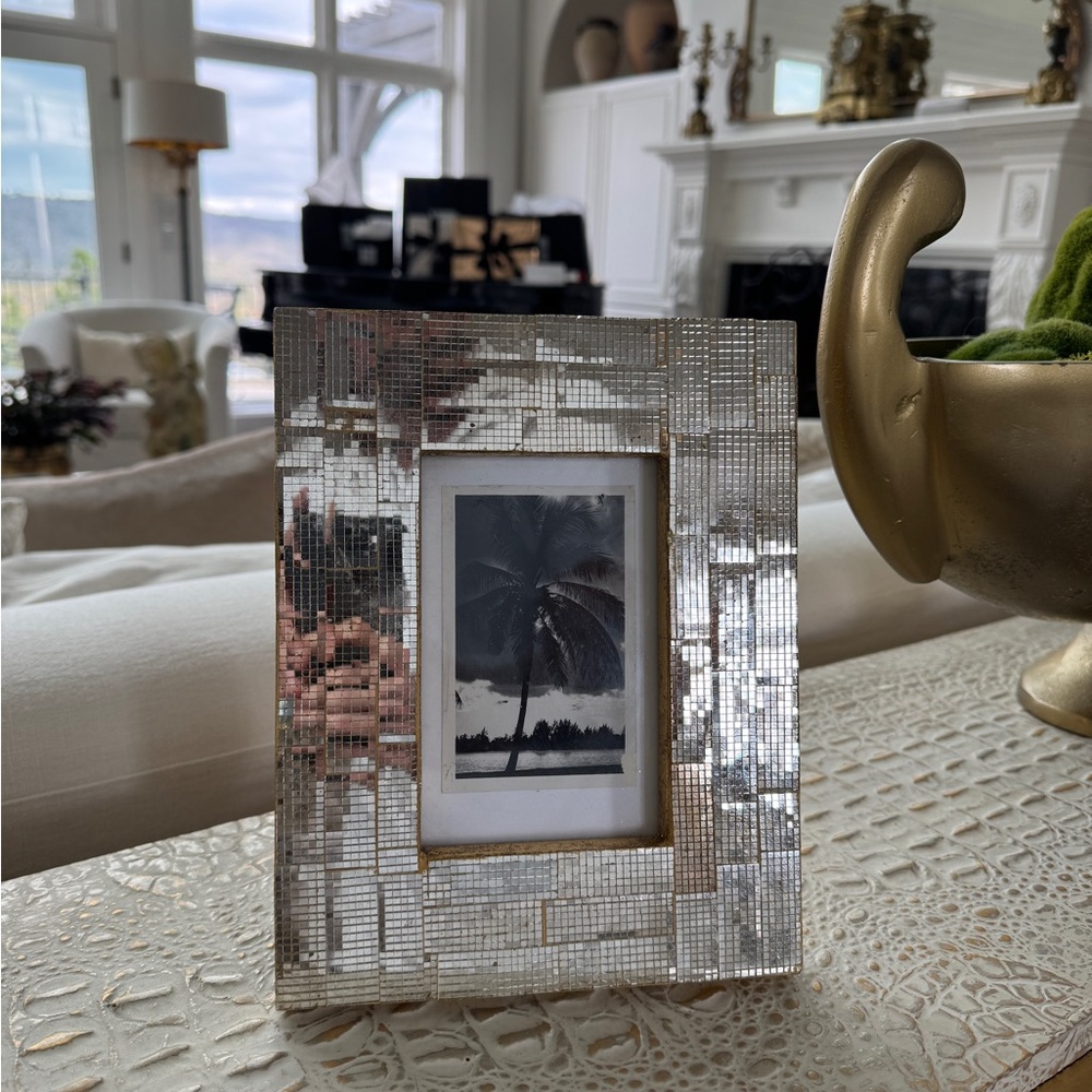 Elegant & Vintage Miami disco ball frame & antique photo of palm trees in Miami.